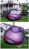 A Blueberry Called Linda
