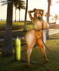 Hitting The Beach