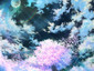 painakatsuki's picture